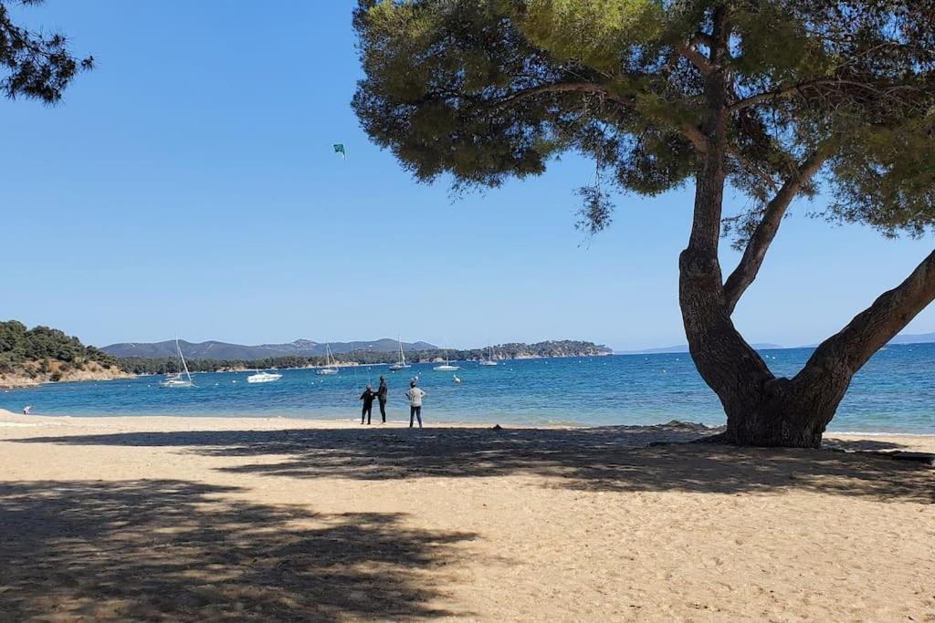 Appartement Dans Residence Avec Piscine La Londe-les-Maures Esterno foto
